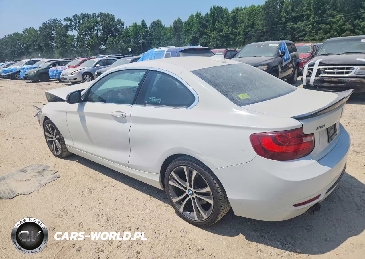 2015 BMW 228 Xi Sulev VIN:WBA1G9C57FVX96766 - 2