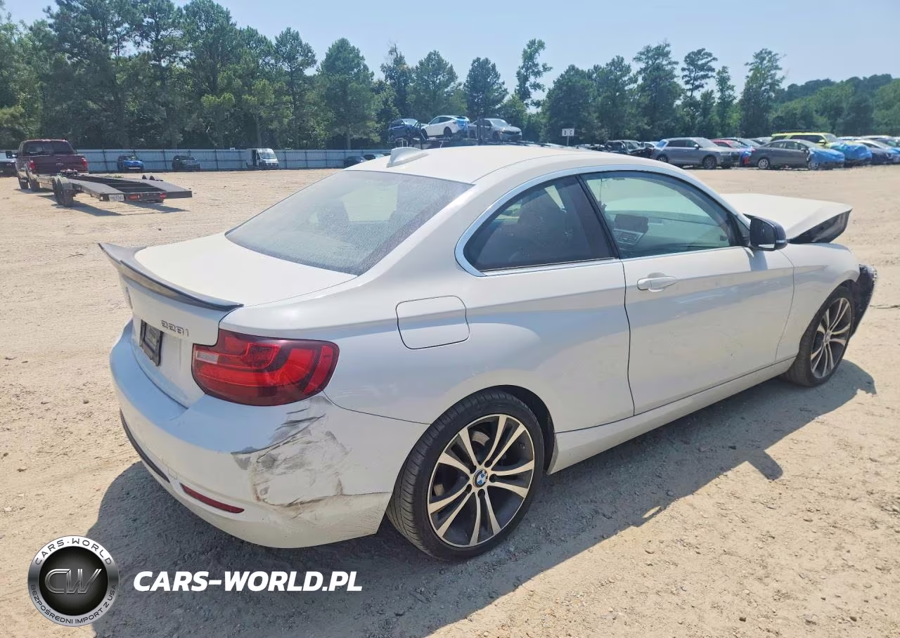 2015 BMW 228 Xi Sulev VIN:WBA1G9C57FVX96766 - 3
