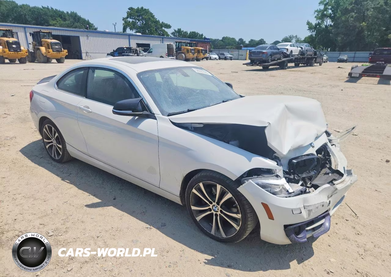 2015 BMW 228 Xi Sulev VIN:WBA1G9C57FVX96766 - 4