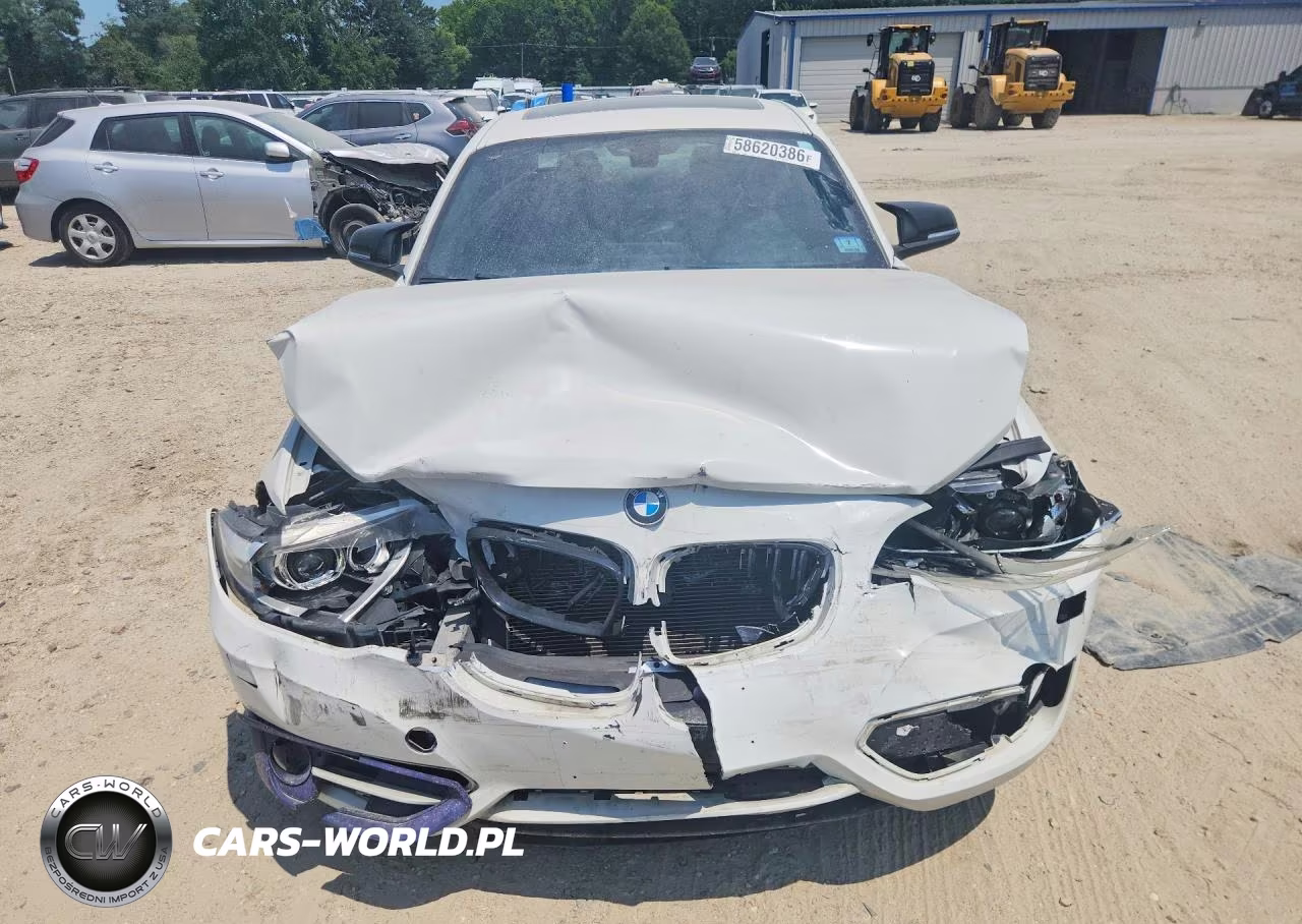 2015 BMW 228 Xi Sulev VIN:WBA1G9C57FVX96766 - 5