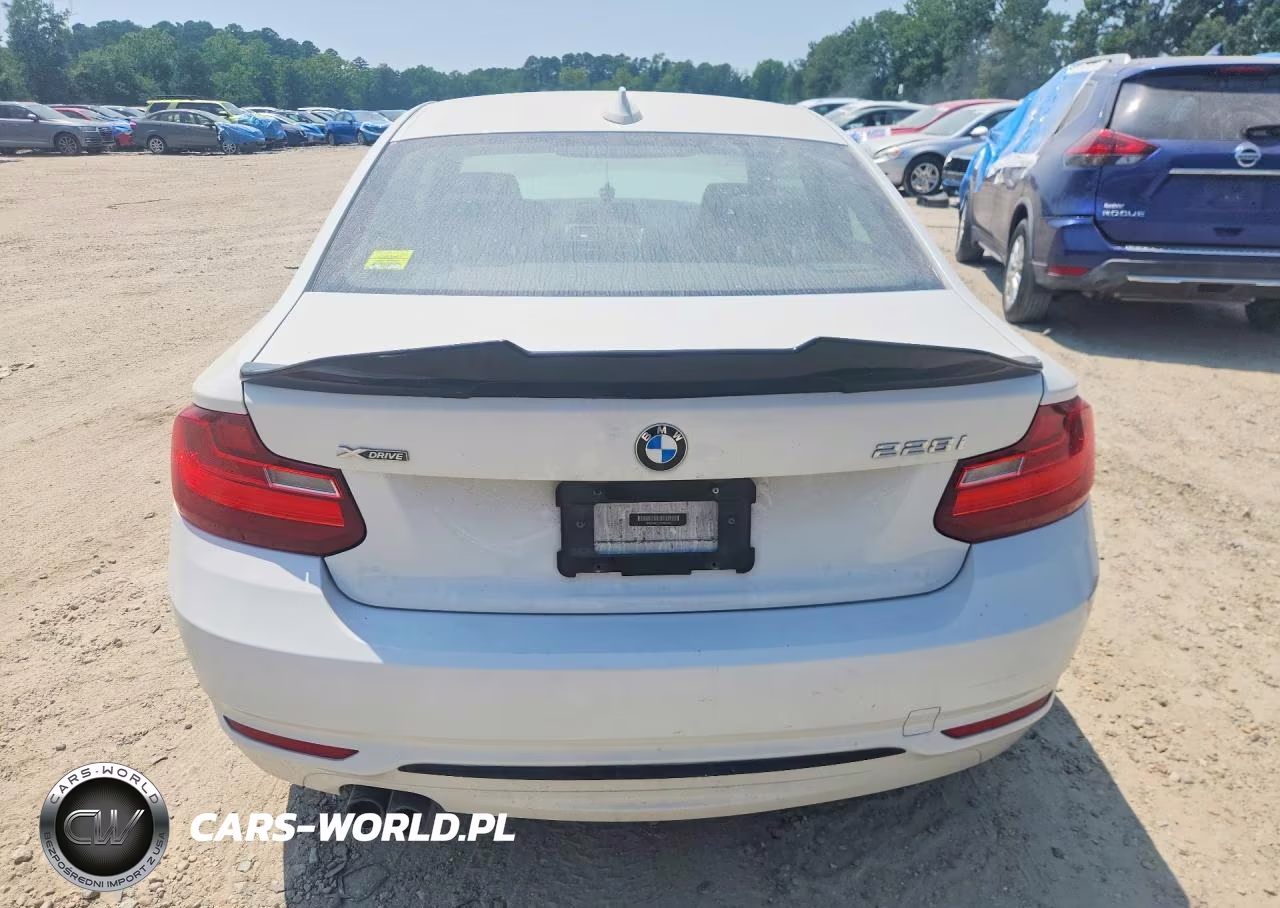 2015 BMW 228 Xi Sulev VIN:WBA1G9C57FVX96766 - 6