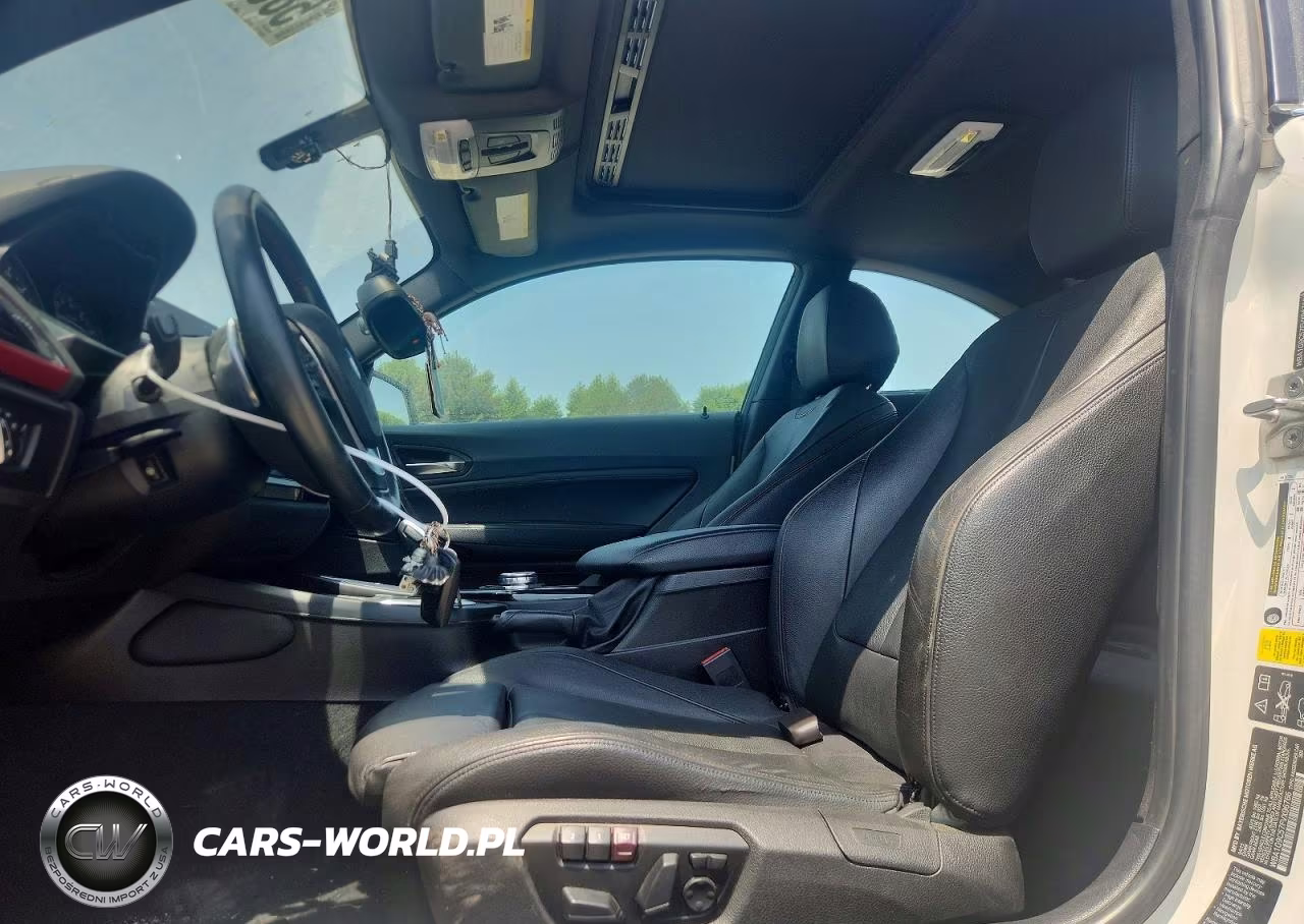 2015 BMW 228 Xi Sulev VIN:WBA1G9C57FVX96766 - 7
