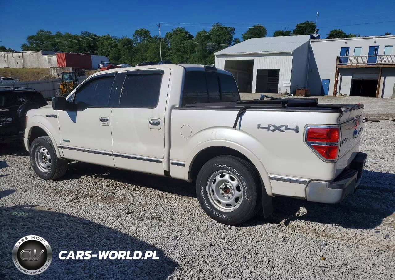 2013 Ford F150 Supercrew VIN:1FTFW1ET9DFC75516 - 2