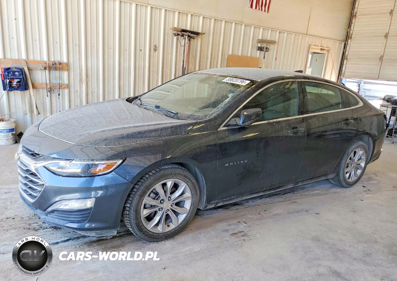 2019 Chevrolet Malibu Lt