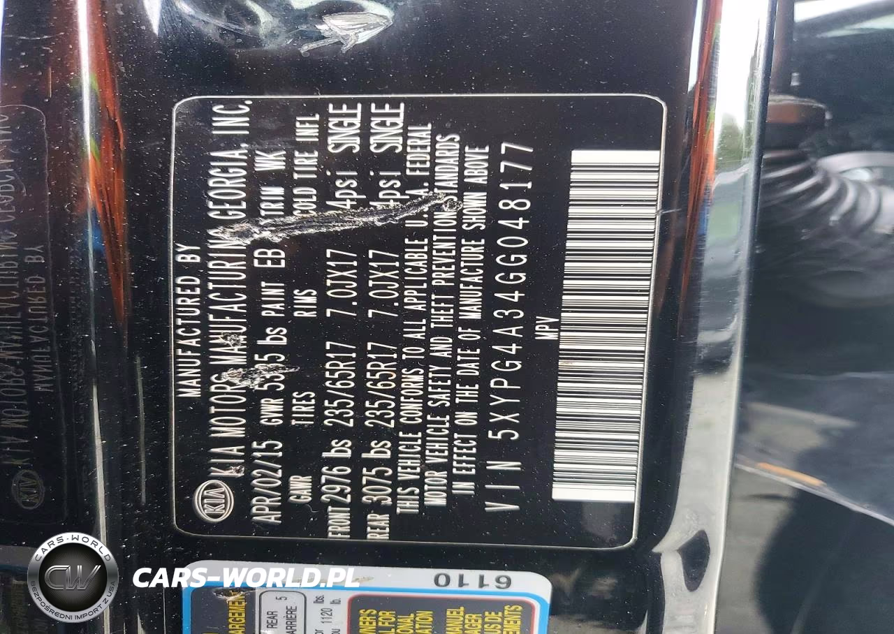 2016 Kia Sorento Lx VIN:5XYPG4A34GG048177 - 13