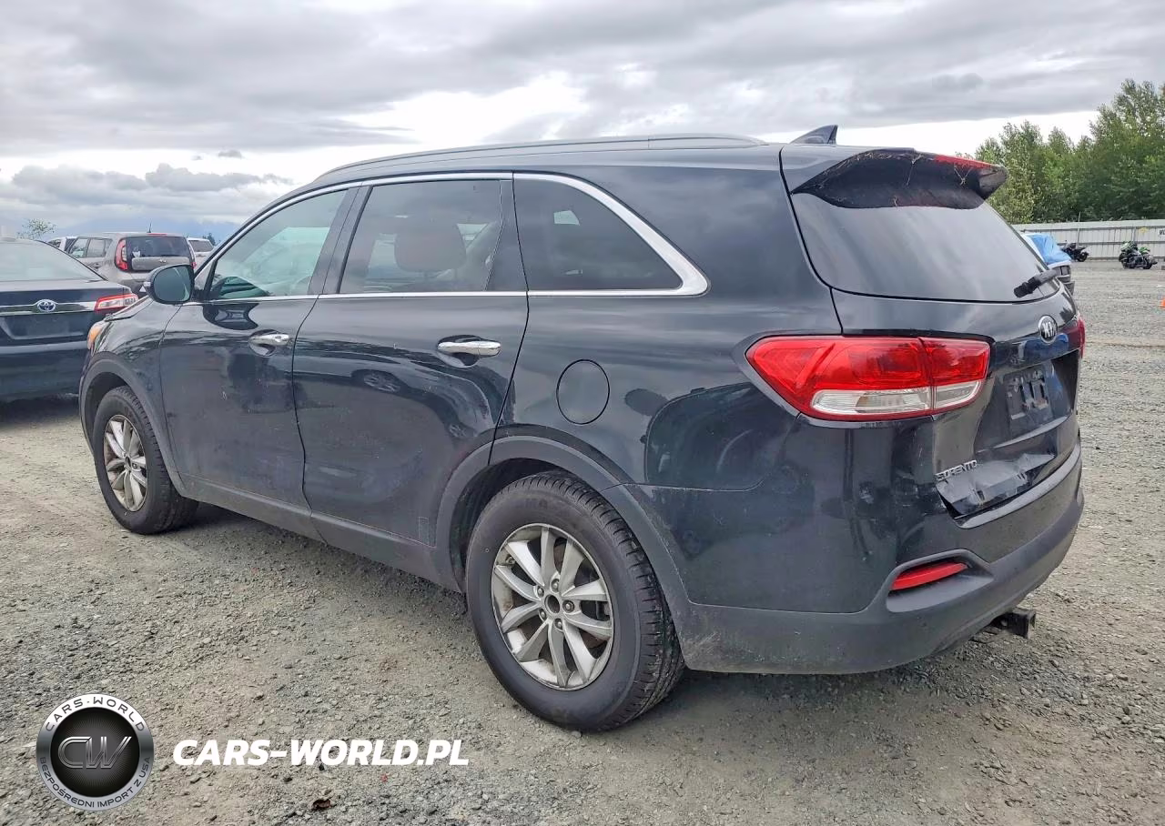 2016 Kia Sorento Lx VIN:5XYPG4A34GG048177 - 2