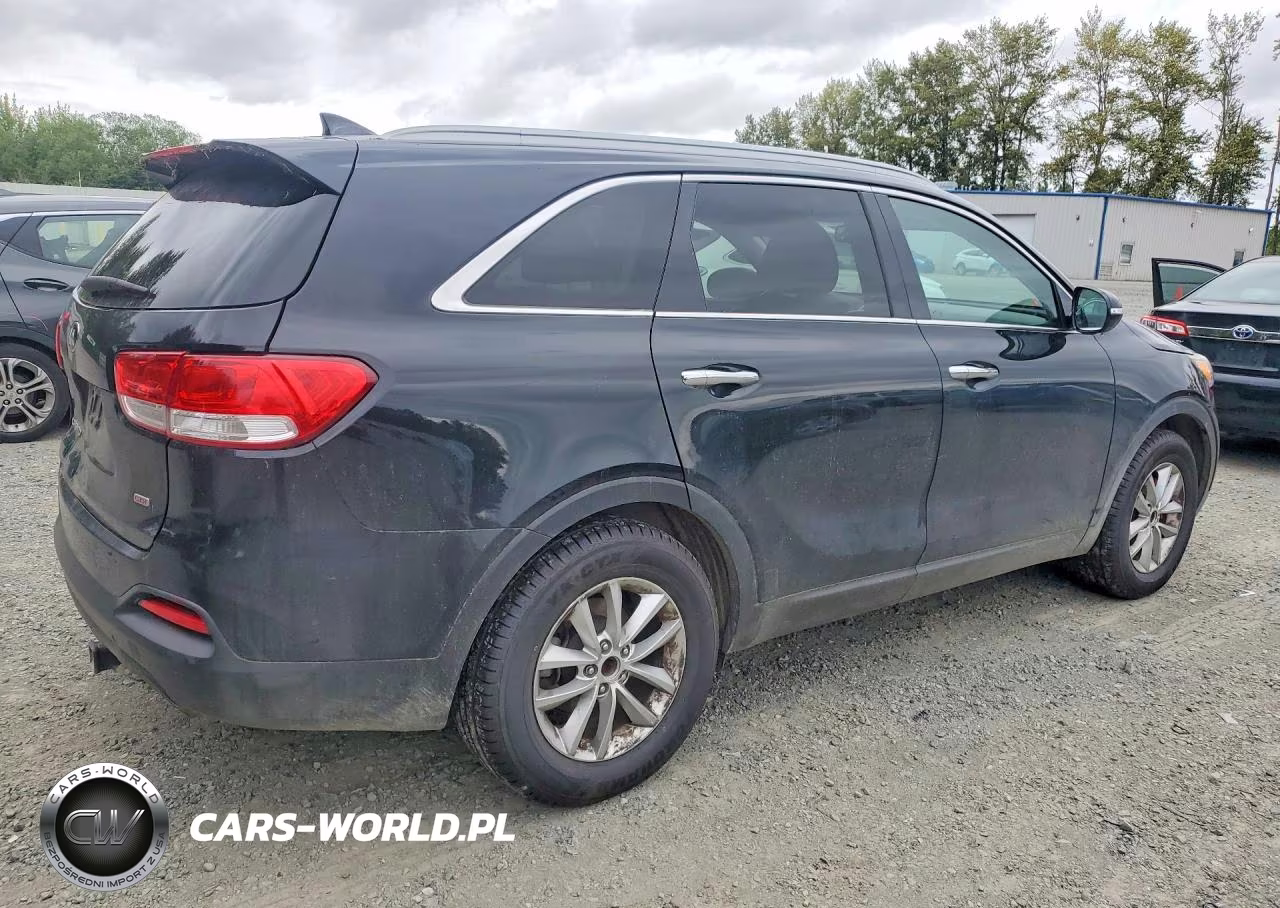 2016 Kia Sorento Lx VIN:5XYPG4A34GG048177 - 3