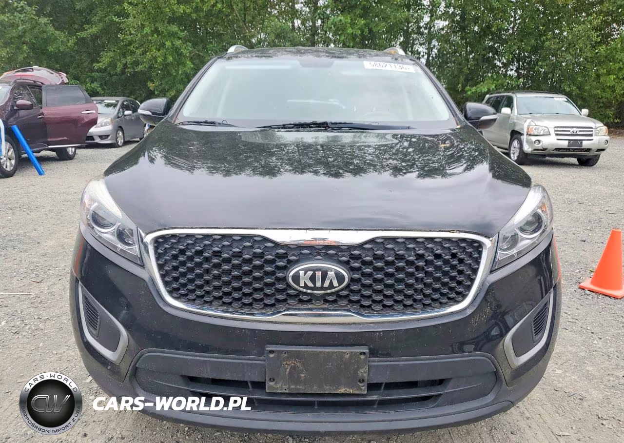 2016 Kia Sorento Lx VIN:5XYPG4A34GG048177 - 5