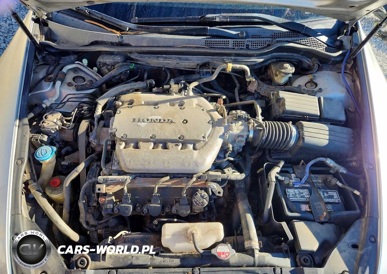 2007 Honda Accord Ex VIN:1HGCM66817A027411 - 11