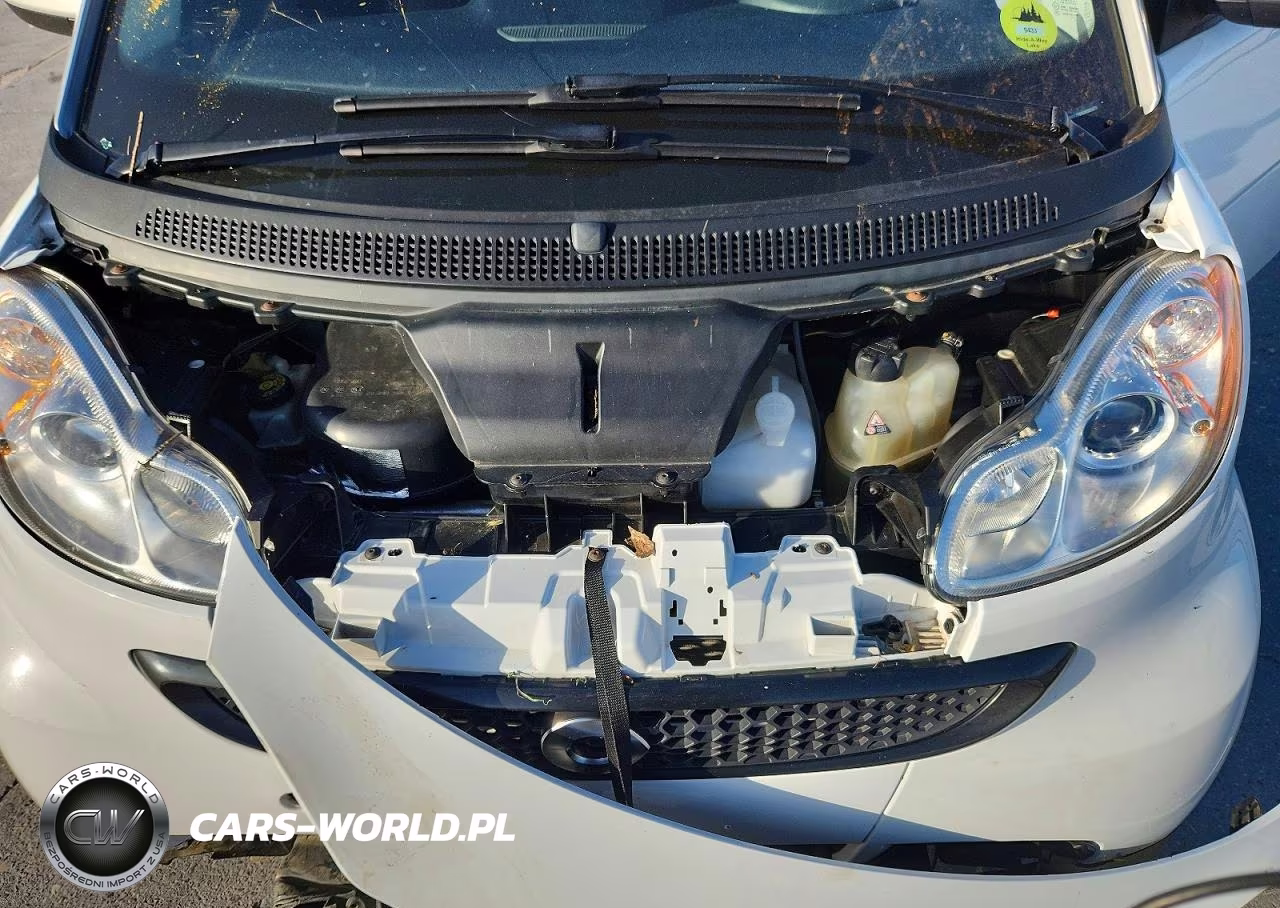 2013 Smart Fortwo Pure VIN:WMEEJ3BA5DK659973 - 11