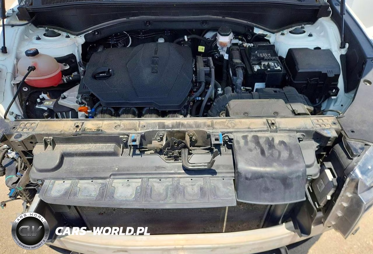 2023 Hyundai Santa Fe Sel VIN:5NMS24AJ9PH604495 - 12