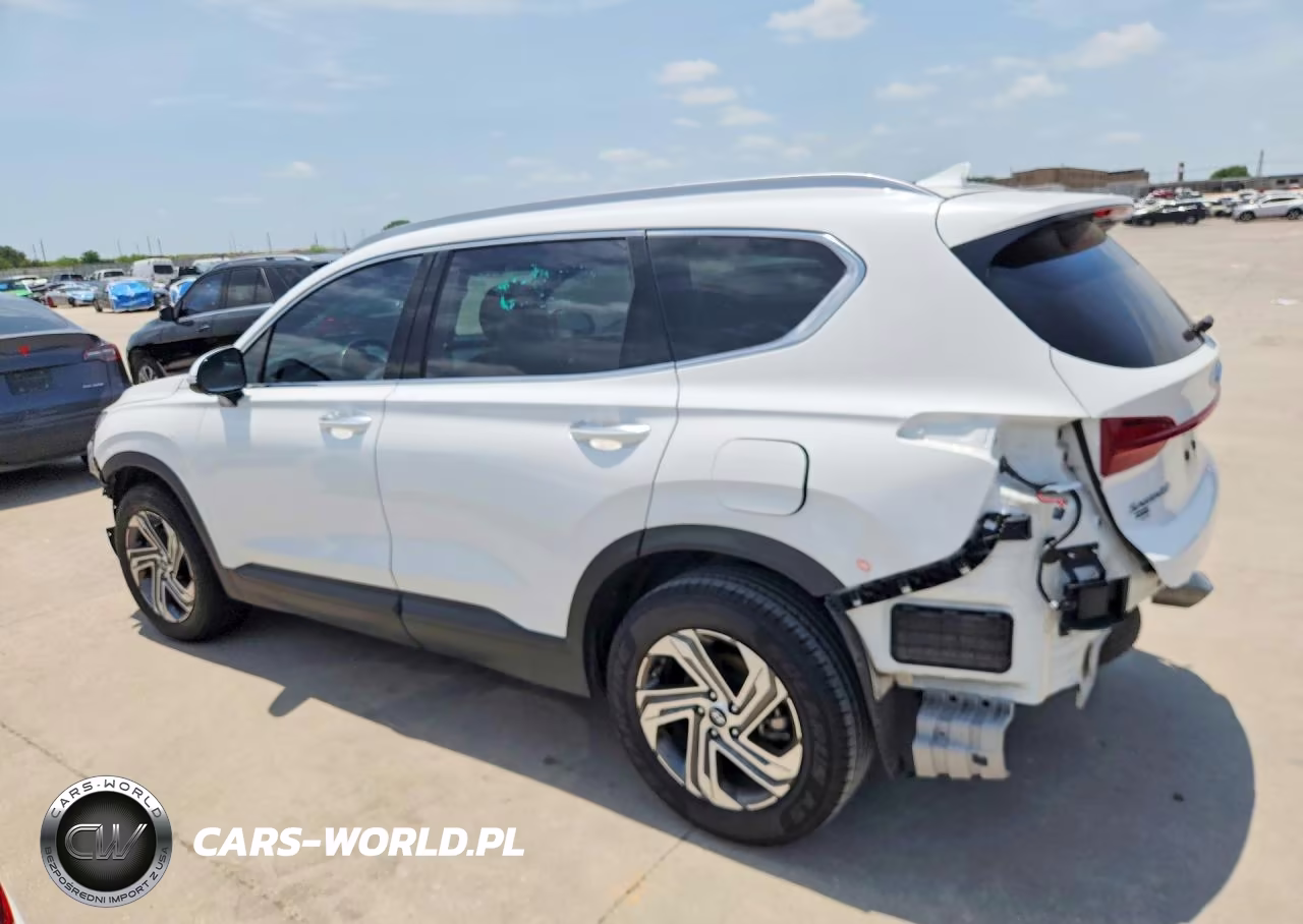 2023 Hyundai Santa Fe Sel VIN:5NMS24AJ9PH604495 - 2