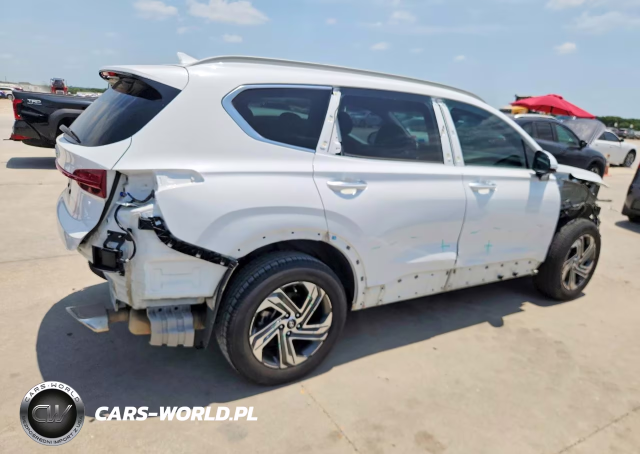 2023 Hyundai Santa Fe Sel VIN:5NMS24AJ9PH604495 - 3