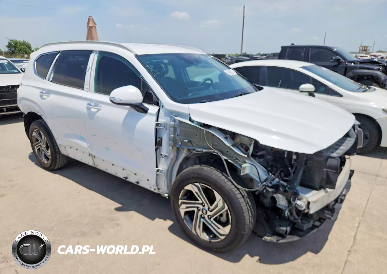 2023 Hyundai Santa Fe Sel VIN:5NMS24AJ9PH604495 - 4