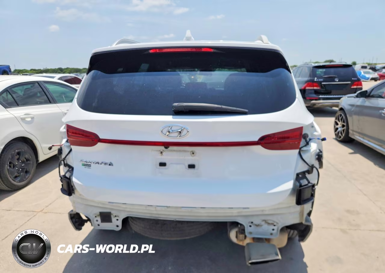 2023 Hyundai Santa Fe Sel VIN:5NMS24AJ9PH604495 - 6