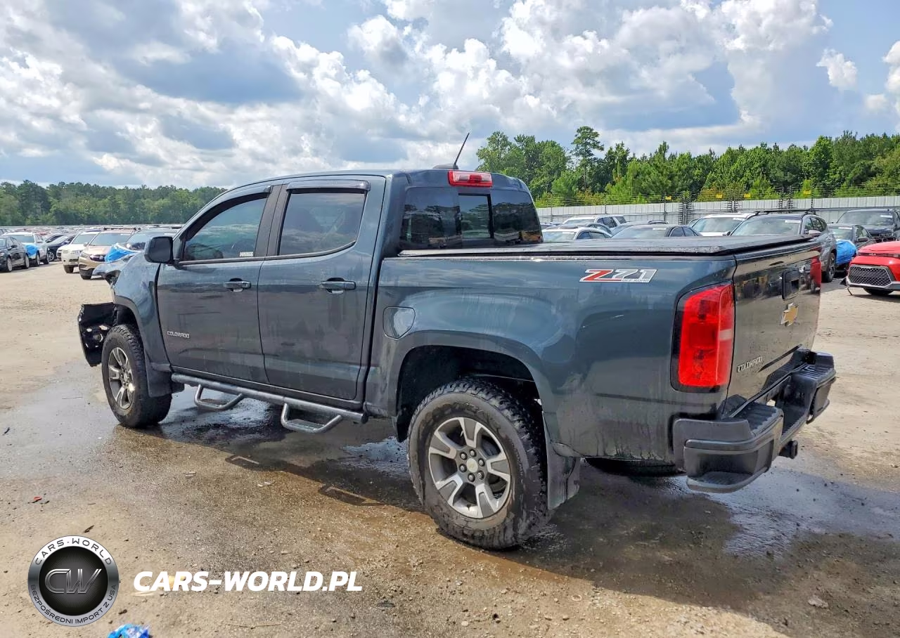 2017 Chevrolet Colorado Z71 VIN:1GCPTDE1XH1302450 - 2