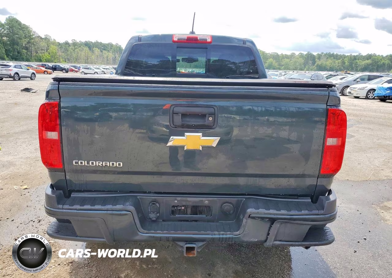 2017 Chevrolet Colorado Z71 VIN:1GCPTDE1XH1302450 - 6