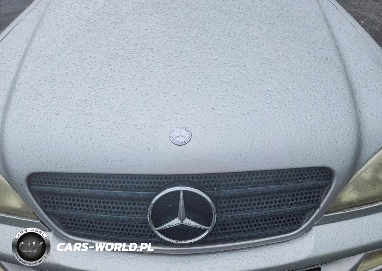 2003 Mercedes-Benz Ml 350 VIN:4JGAB57E13A415383 - 12