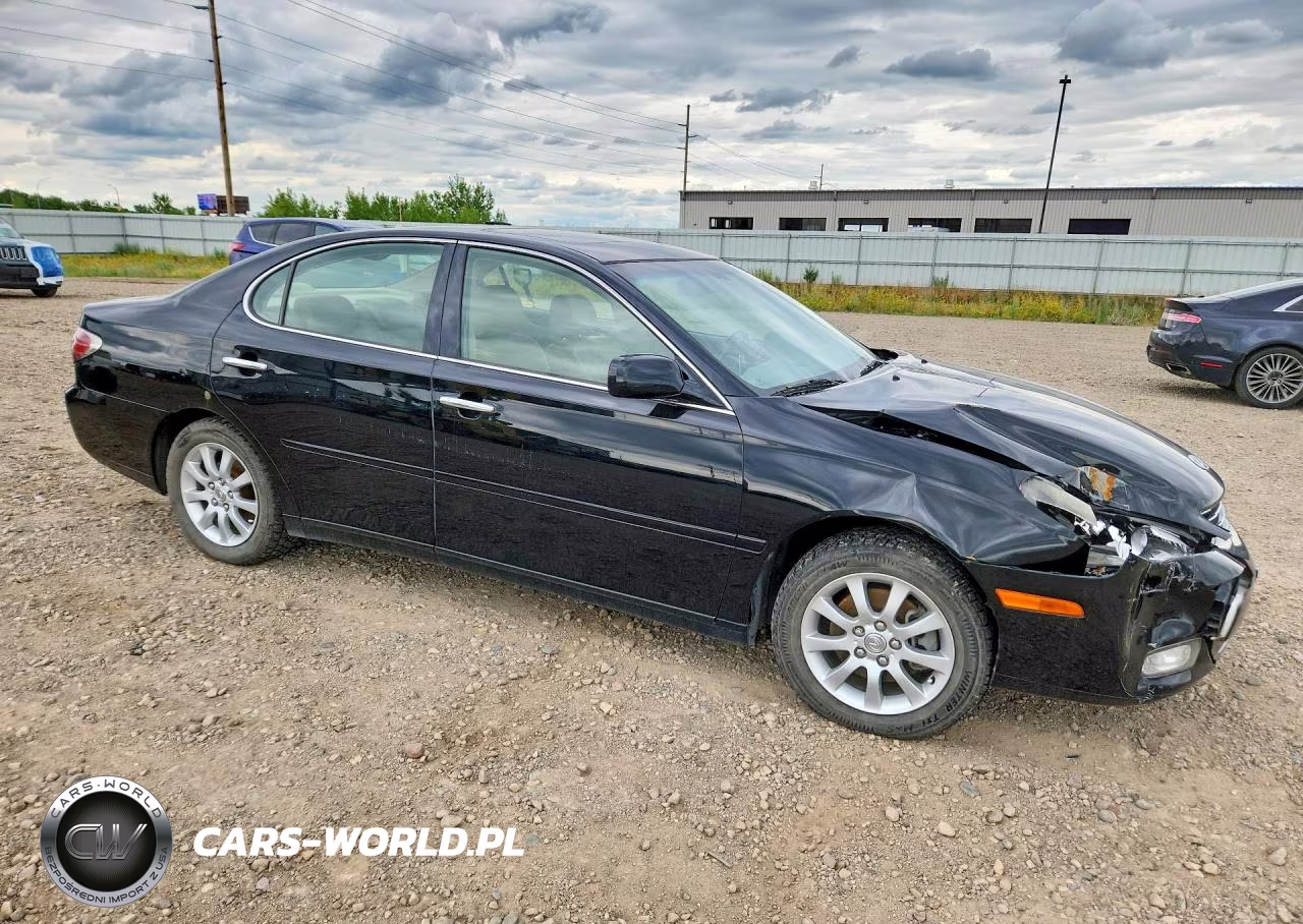 2004 Lexus Es 330 Base VIN:JTHBA30G945050164 - 4