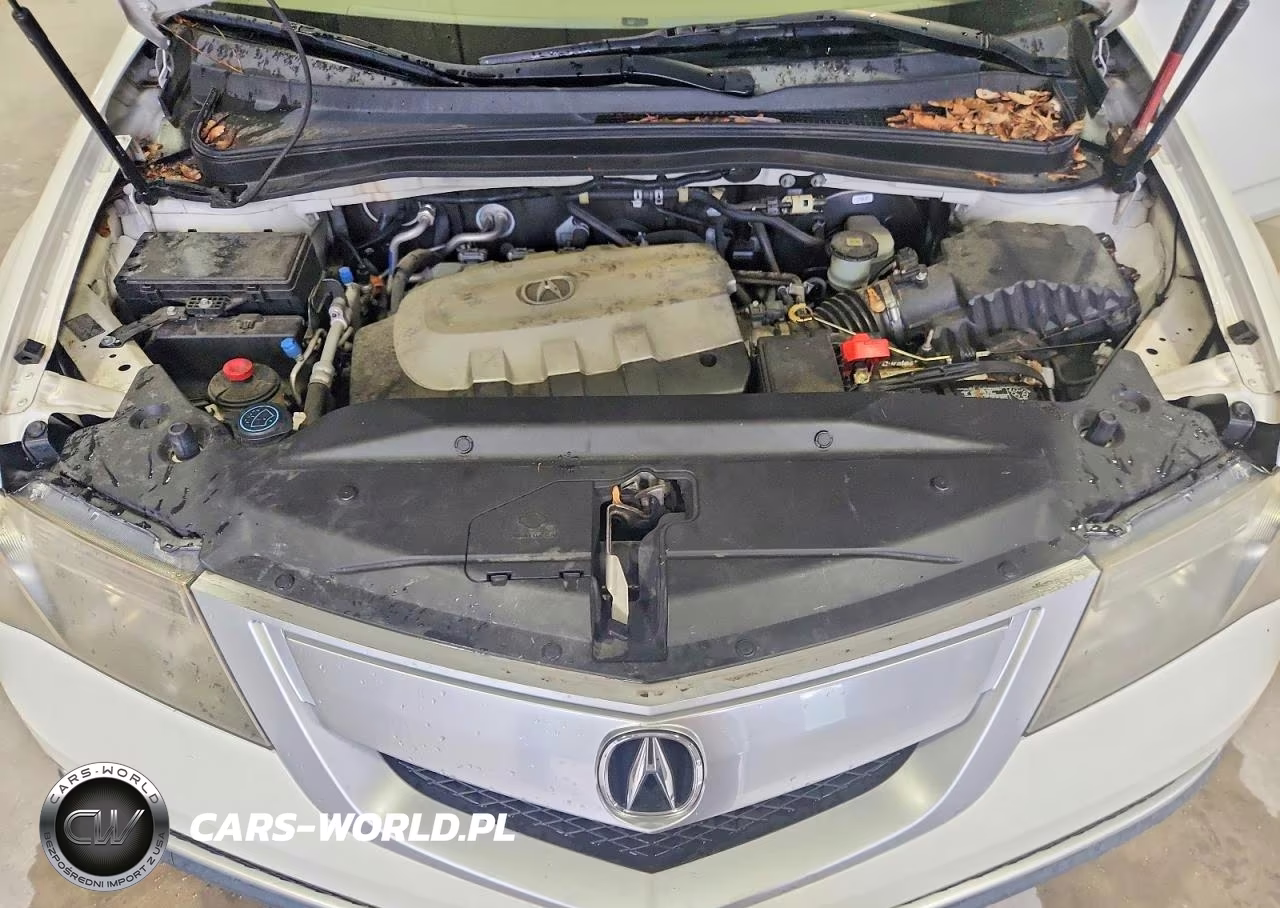 2010 Acura Mdx VIN:2HNYD2H25AH514233 - 12