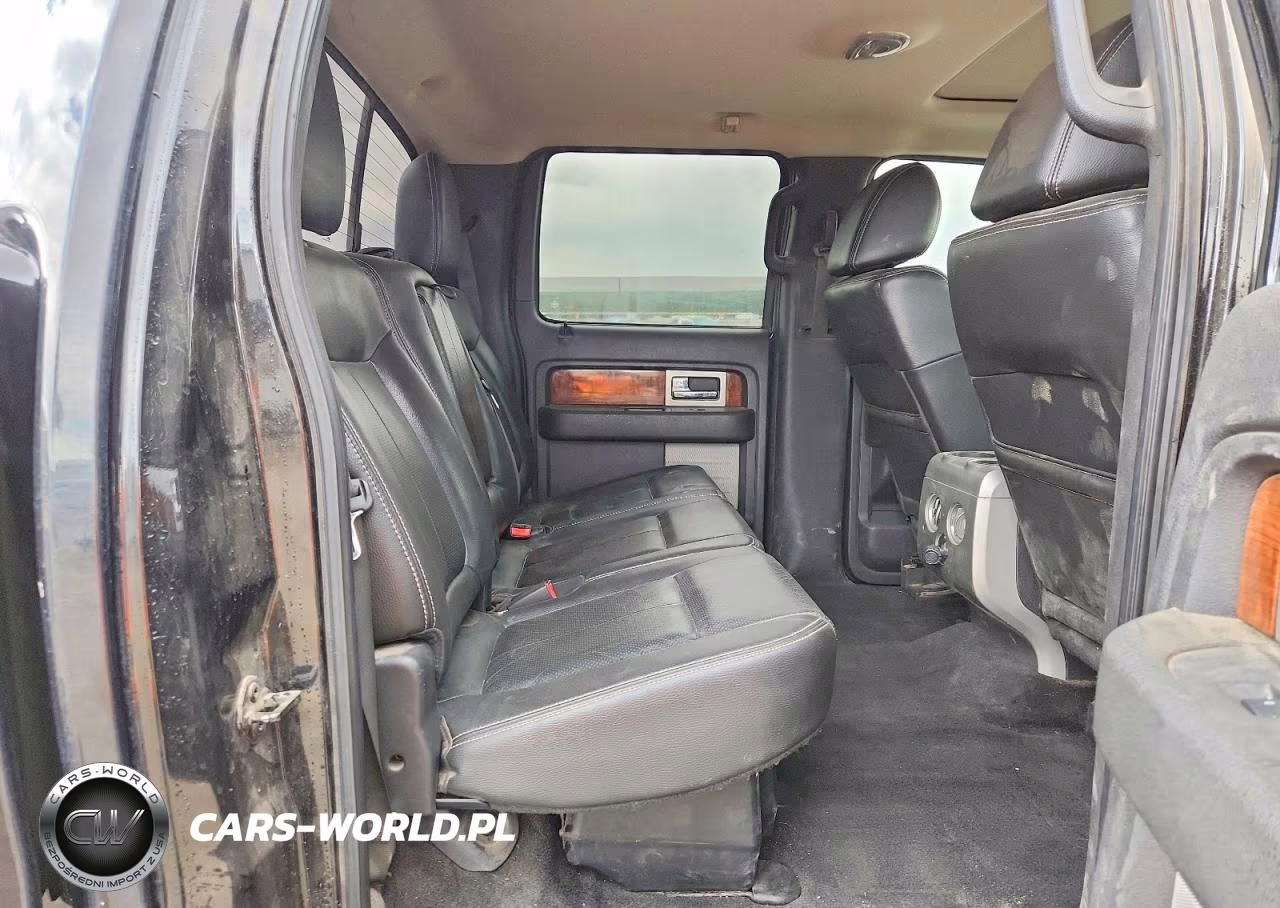 2010 Ford F150 Supercrew VIN:1FTFW1EV0AFD30061 - 10