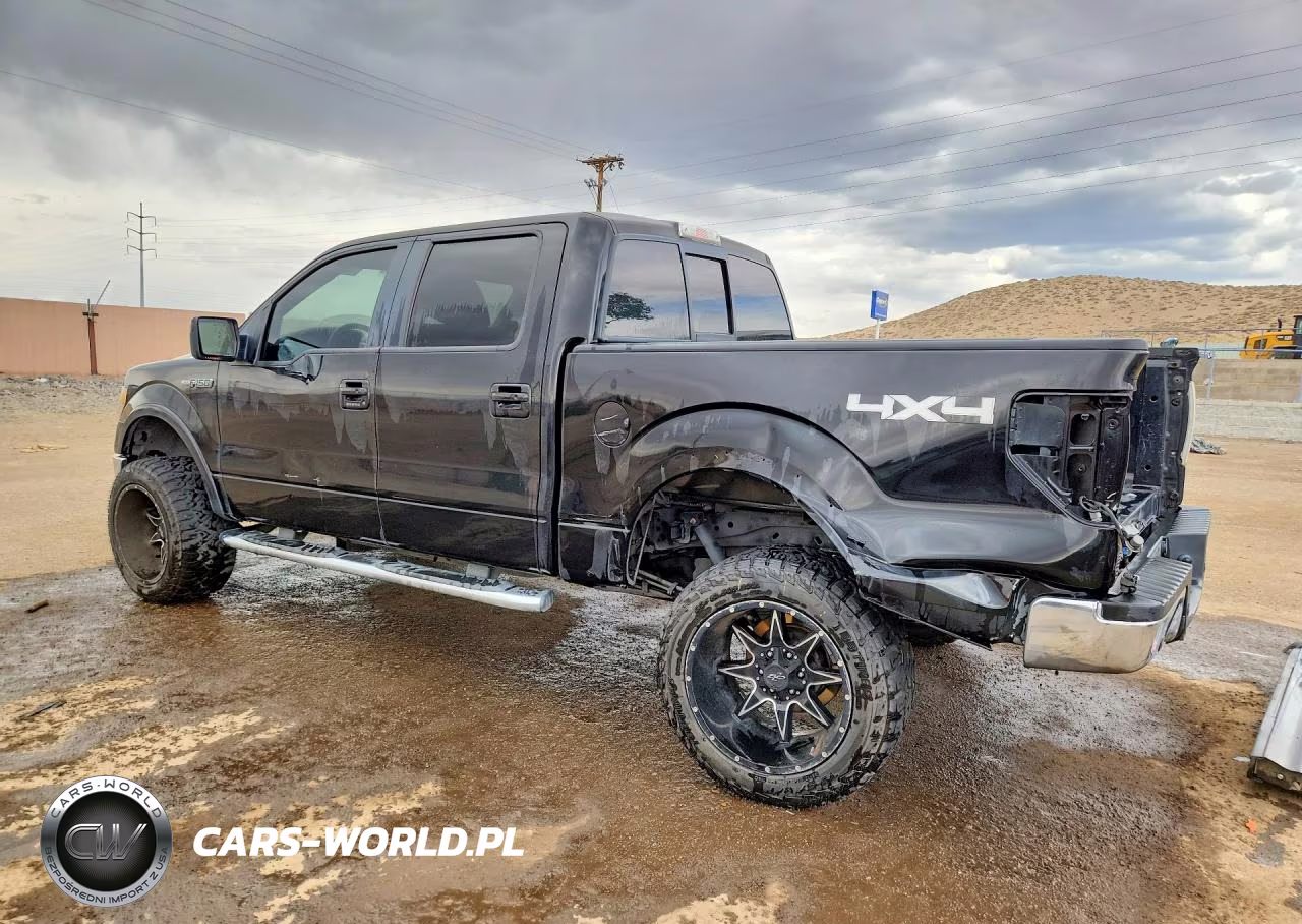 2010 Ford F150 Supercrew VIN:1FTFW1EV0AFD30061 - 2