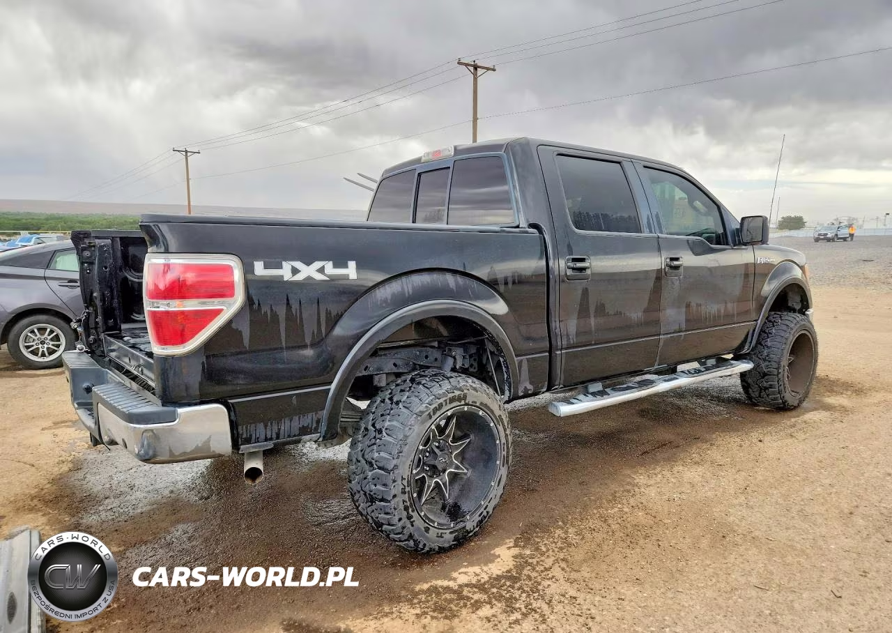 2010 Ford F150 Supercrew VIN:1FTFW1EV0AFD30061 - 3