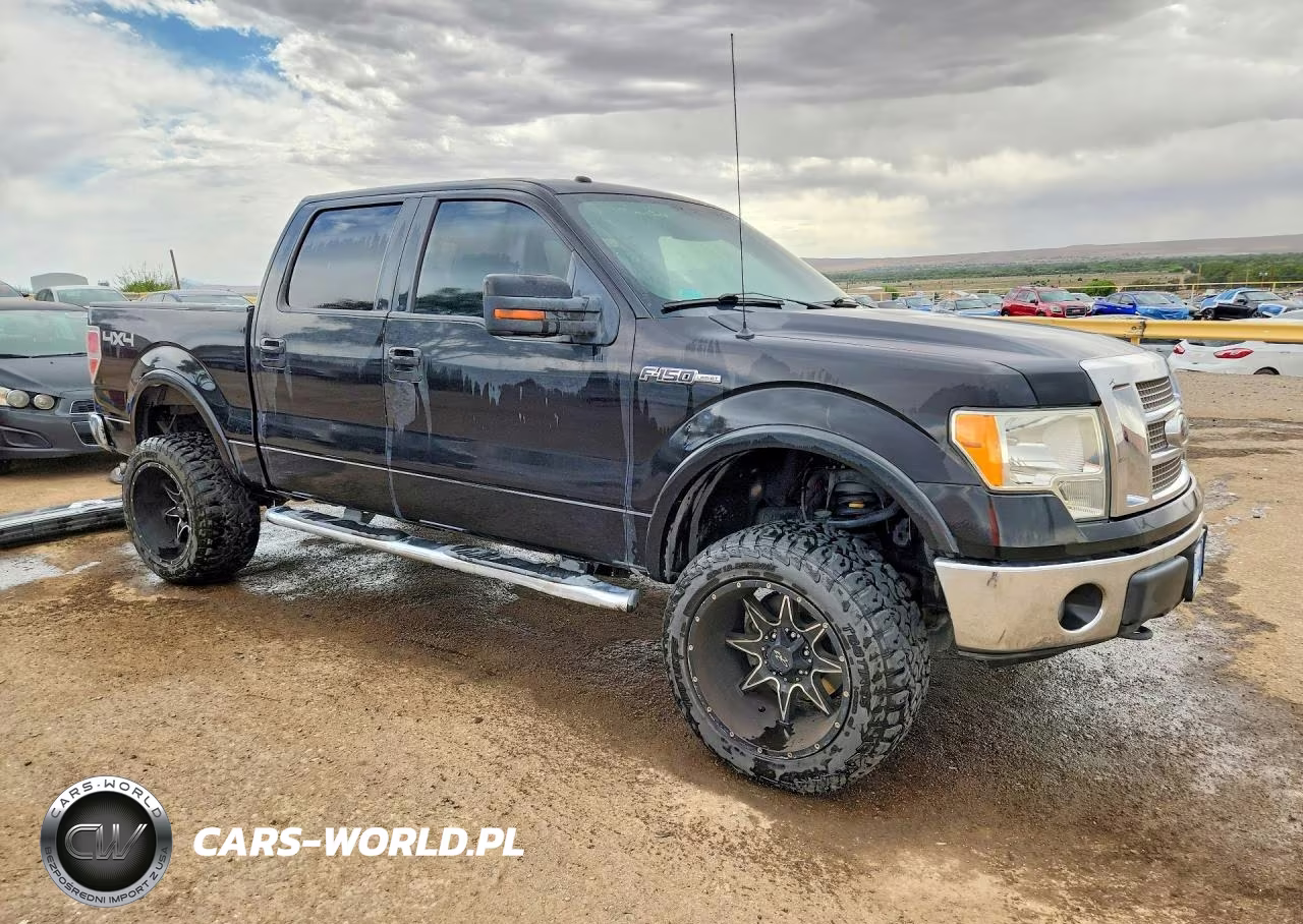 2010 Ford F150 Supercrew VIN:1FTFW1EV0AFD30061 - 4