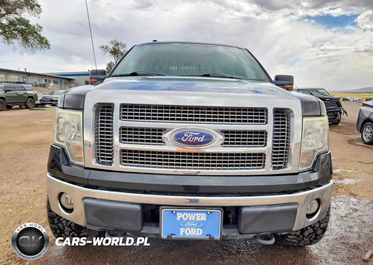 2010 Ford F150 Supercrew VIN:1FTFW1EV0AFD30061 - 5