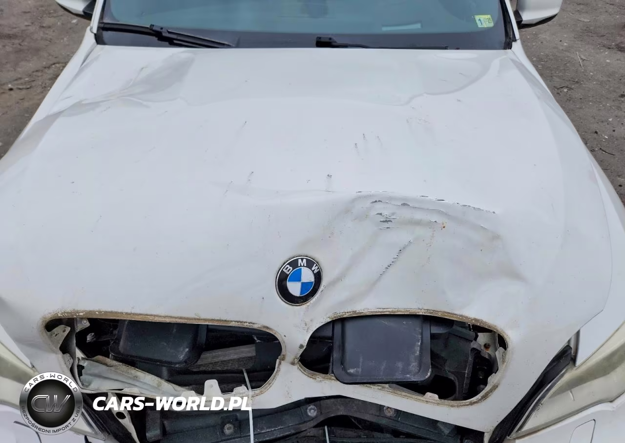 2013 BMW X5 M VIN:5YMGY0C55D0C11905 - 12