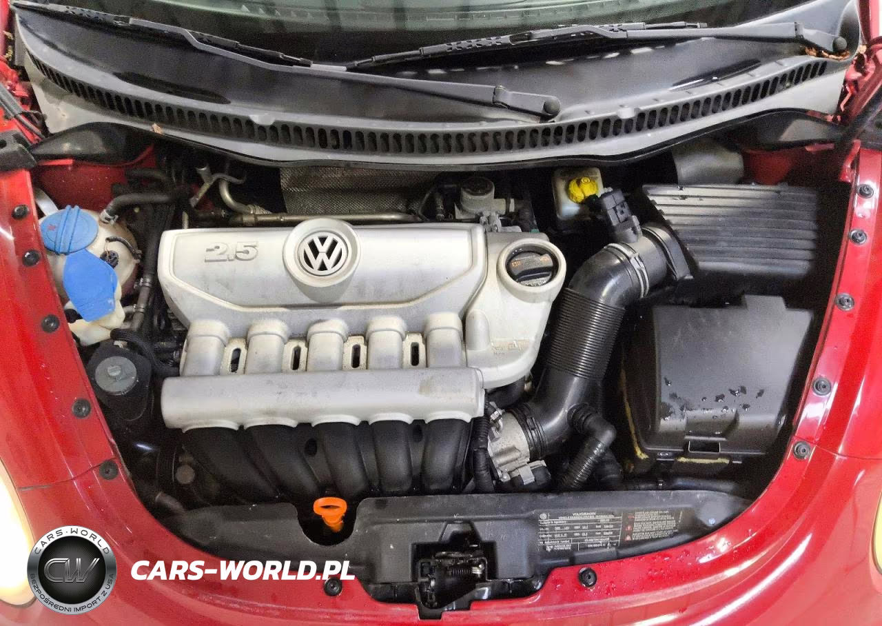 2009 Volkswagen New Beetle S VIN:3VWRF31Y29M408762 - 11