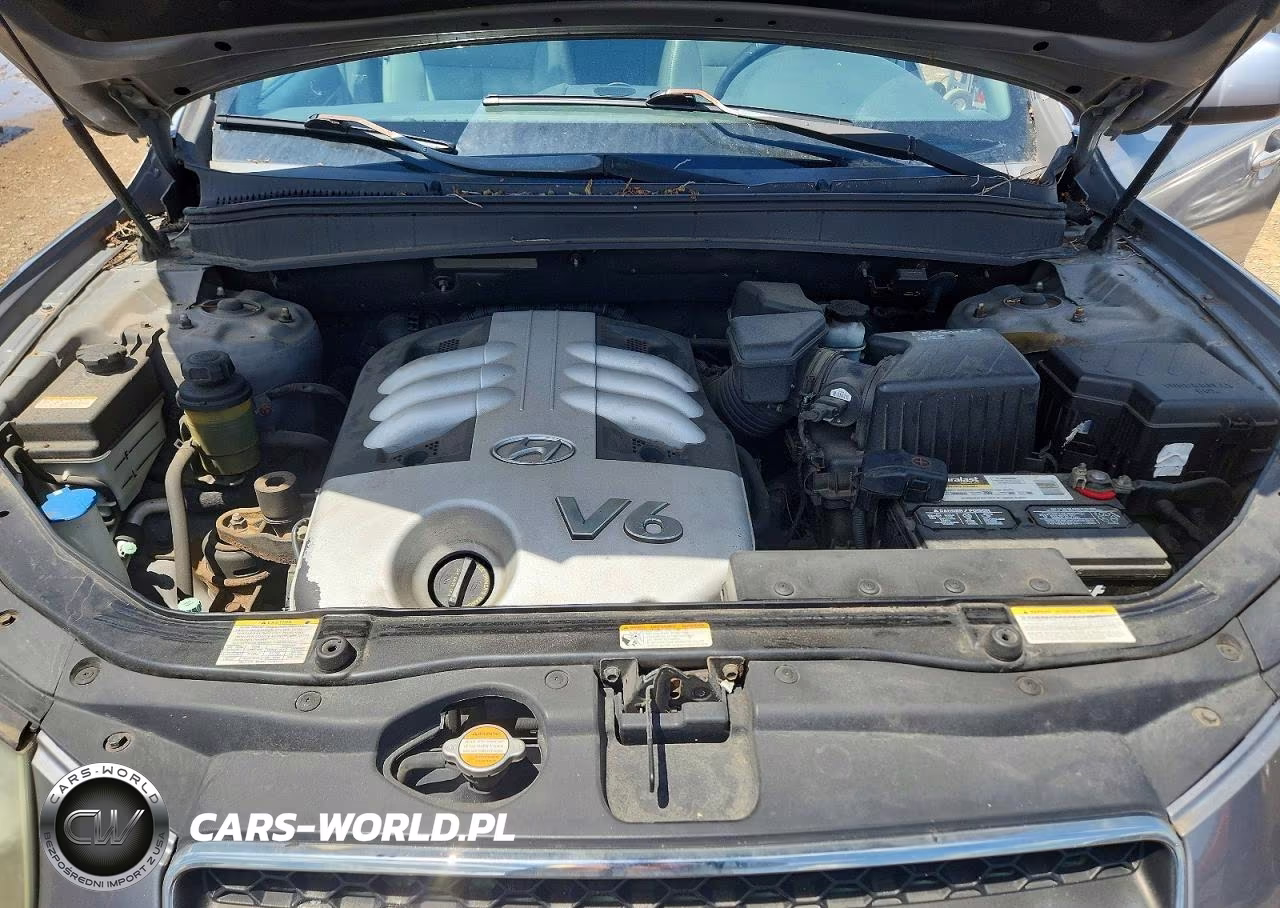2007 Hyundai Santa Fe Se VIN:5NMSH13E17H066551 - 11