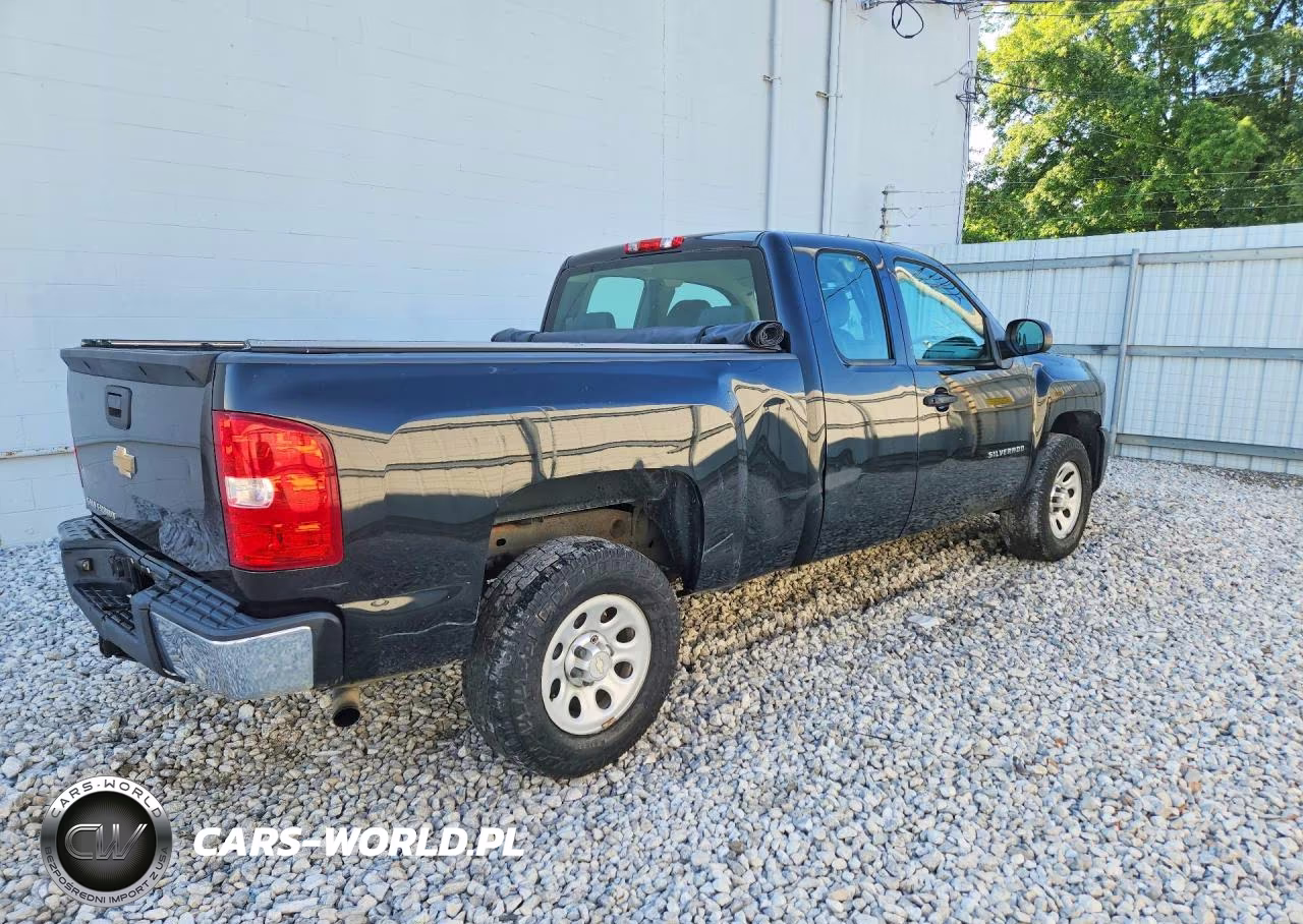 2013 Chevrolet Silverado C1500 VIN:1GCRCPEX3DZ290135 - 3