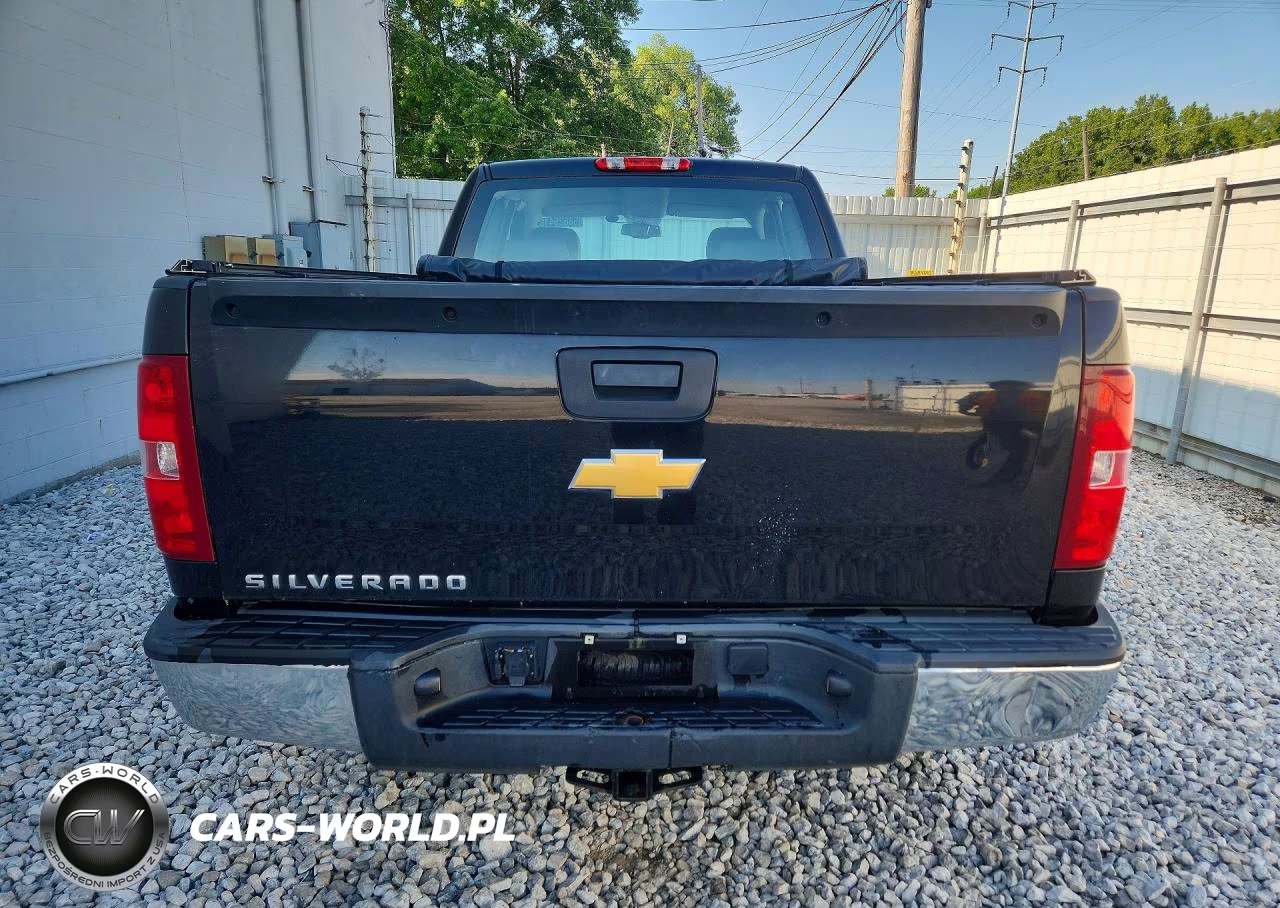 2013 Chevrolet Silverado C1500 VIN:1GCRCPEX3DZ290135 - 6