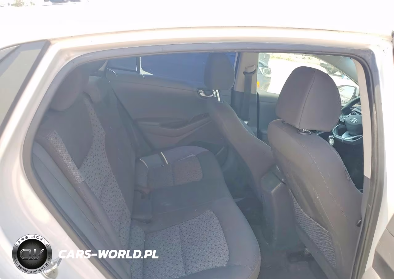 2017 Hyundai Ioniq Blue VIN:KMHC65LC0HU045602 - 10