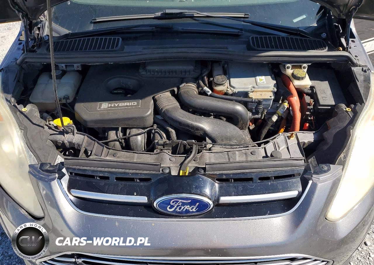2013 Ford C-Max Sel VIN:1FADP5BU5DL540481 - 12