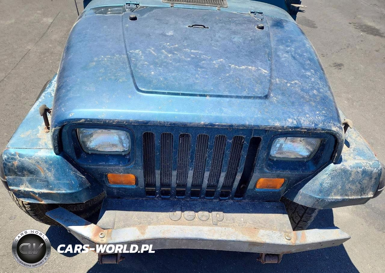 1995 Jeep Wrangler - Yj S VIN:1J4FY19PXSP302389 - 11