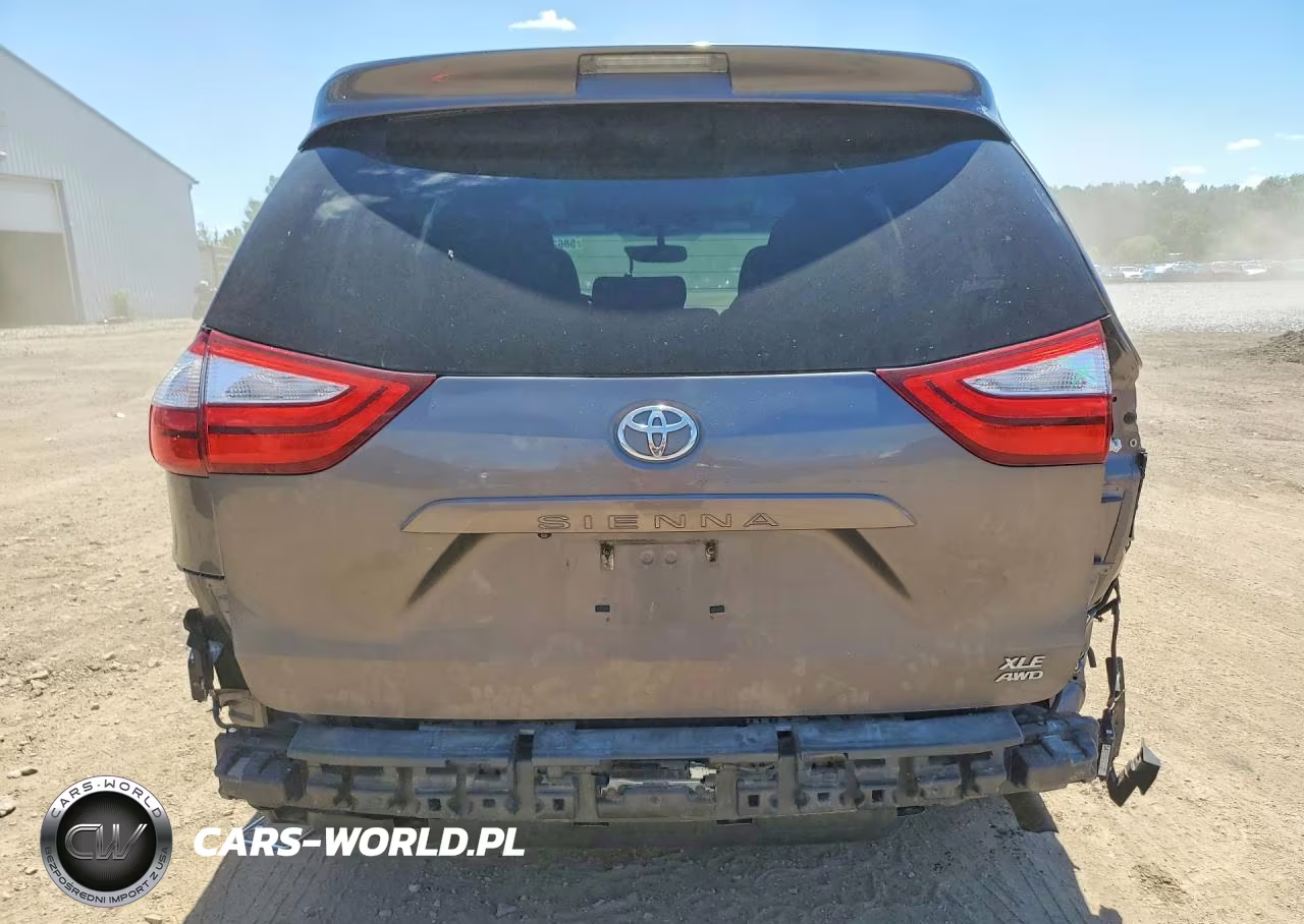 2016 Toyota Sienna Xle 7-Passenger VIN:5TDDK3DC2GS140799 - 6