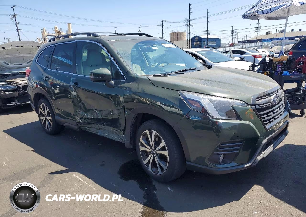 2022 Subaru Forester Limited VIN:JF2SKAPC2NH434424 - 4