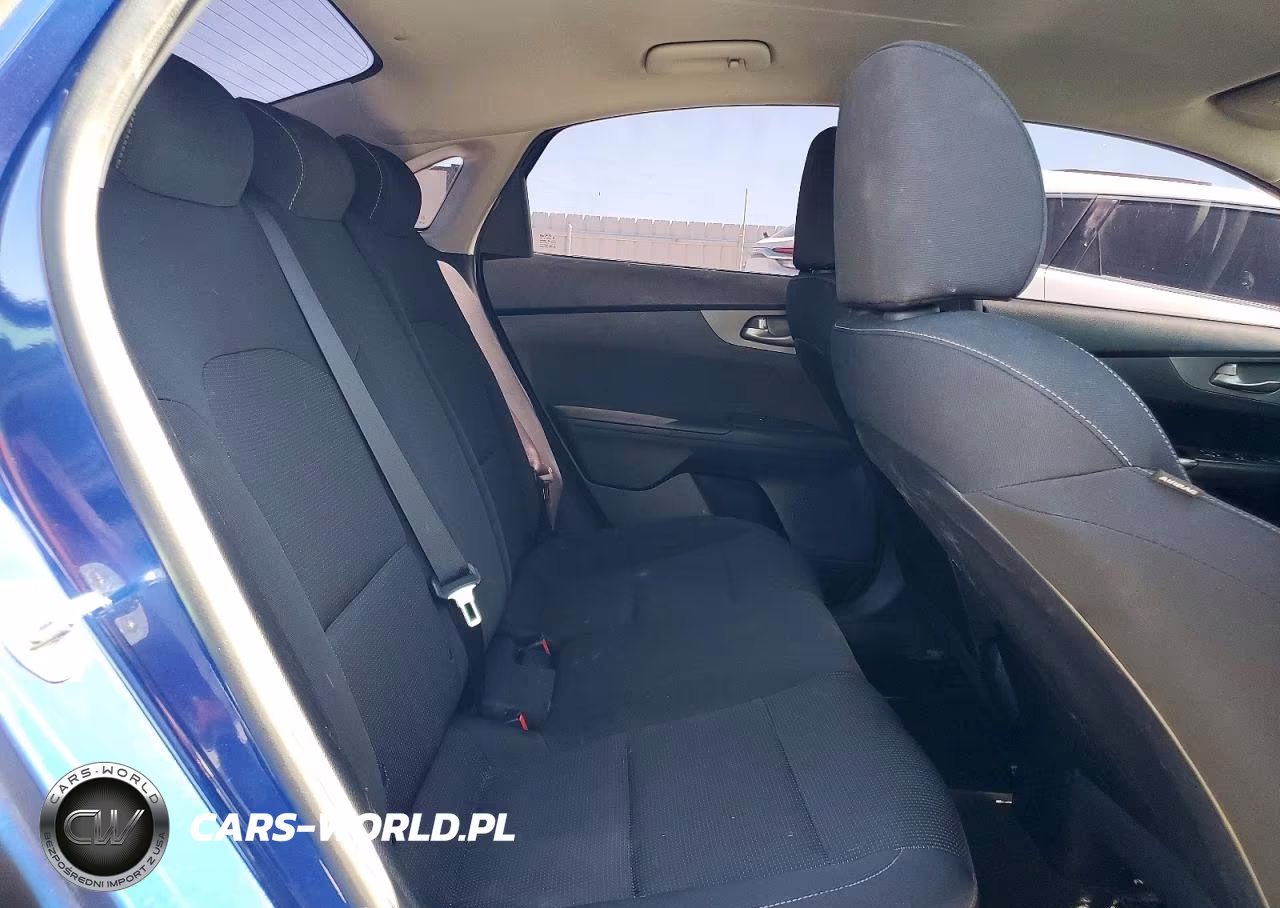 2019 Kia Forte Lxs VIN:3KPF24AD5KE064848 - 10
