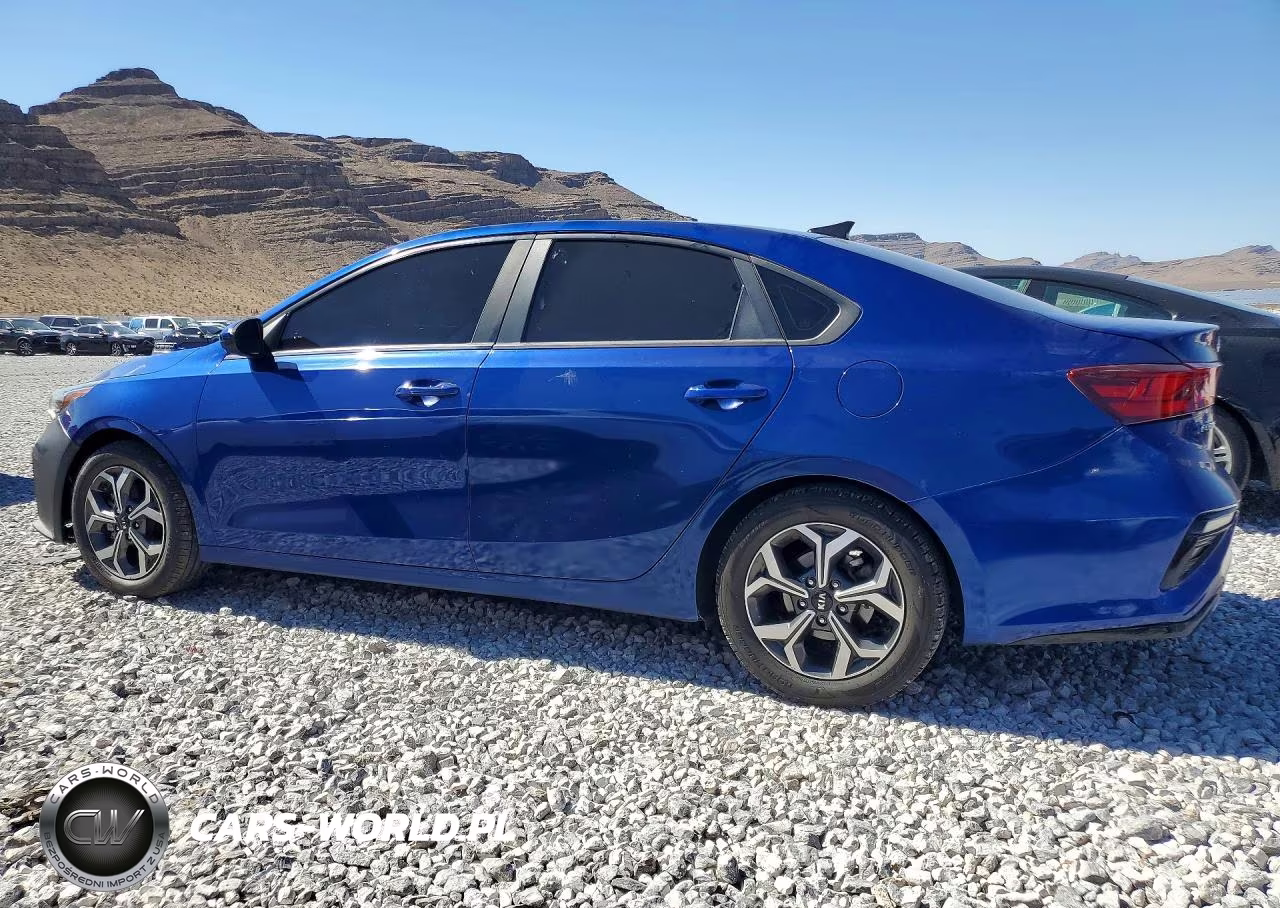 2019 Kia Forte Lxs VIN:3KPF24AD5KE064848 - 2