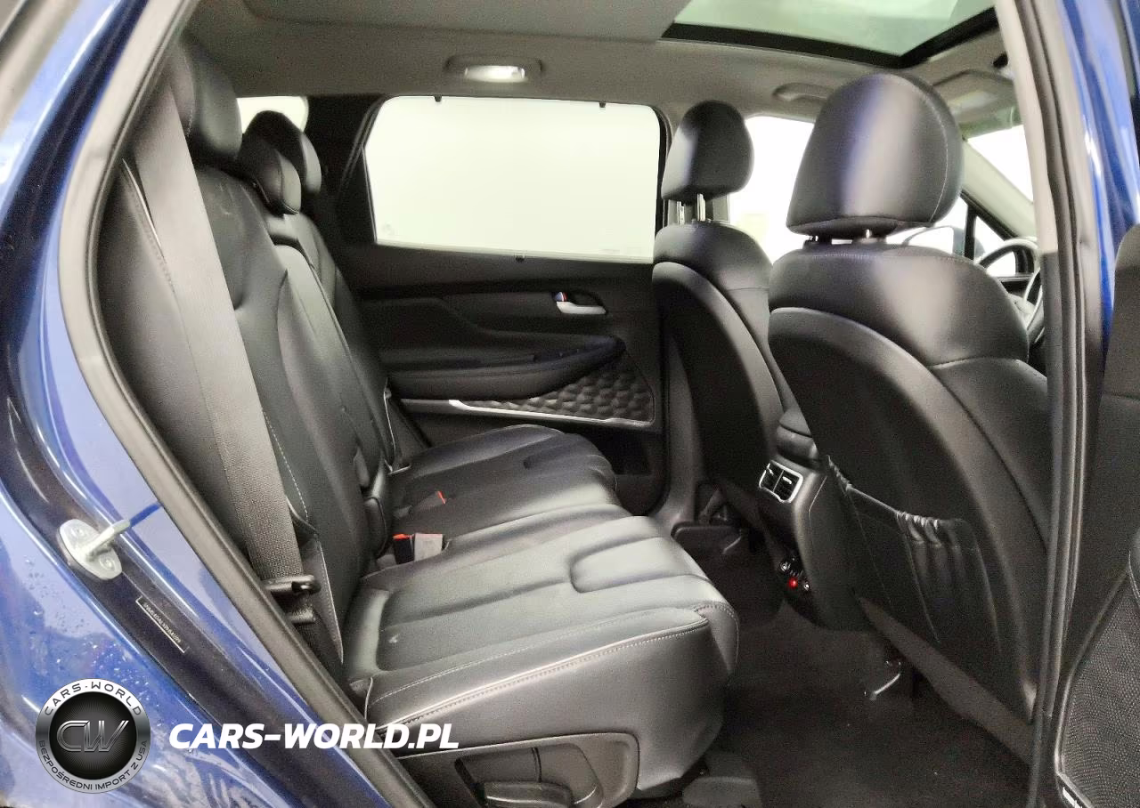 2023 Hyundai Santa Fe Limited VIN:5NMS4DALXPH541399 - 11