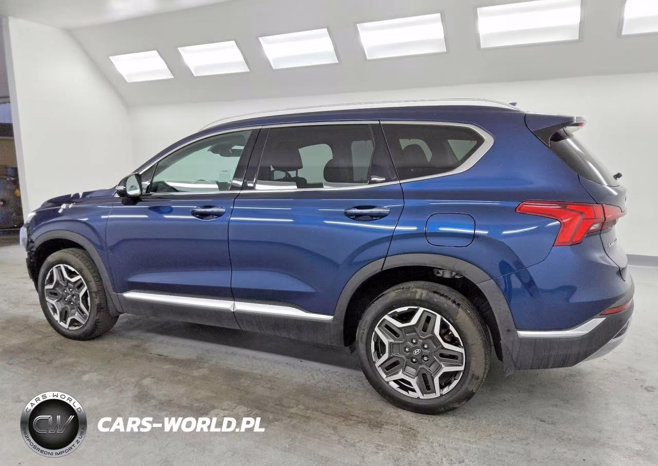 2023 Hyundai Santa Fe Limited VIN:5NMS4DALXPH541399 - 2