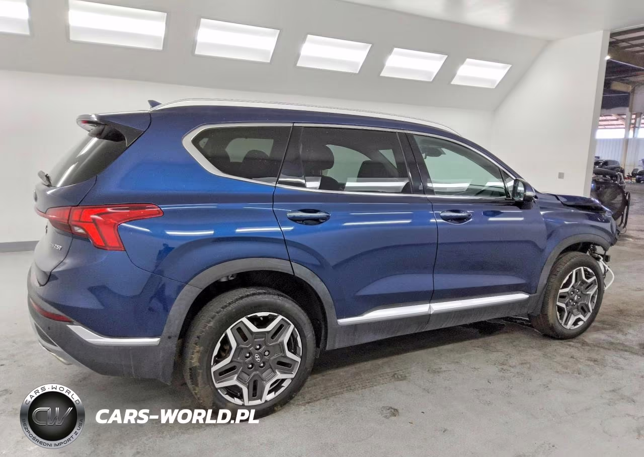 2023 Hyundai Santa Fe Limited VIN:5NMS4DALXPH541399 - 3