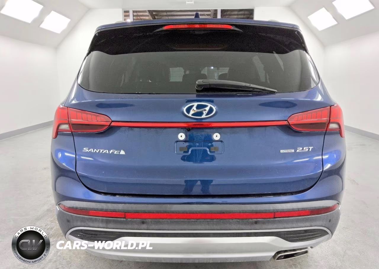 2023 Hyundai Santa Fe Limited VIN:5NMS4DALXPH541399 - 6