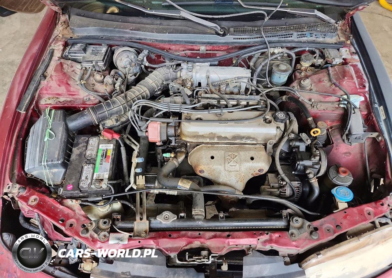 1996 Honda Accord Lx VIN:1HGCD5530TA270489 - 11