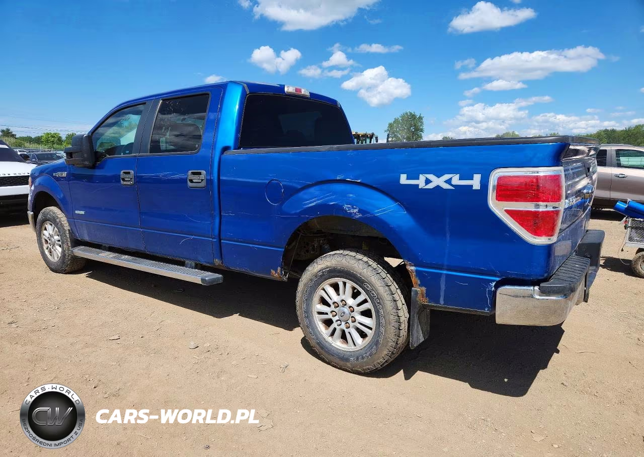 2013 Ford F150 Supercrew VIN:1FTVW1ET9DKE90087 - 2
