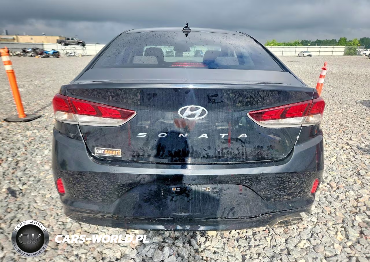 2019 Hyundai Sonata Sel VIN:5NPE34AF2KH754790 - 6