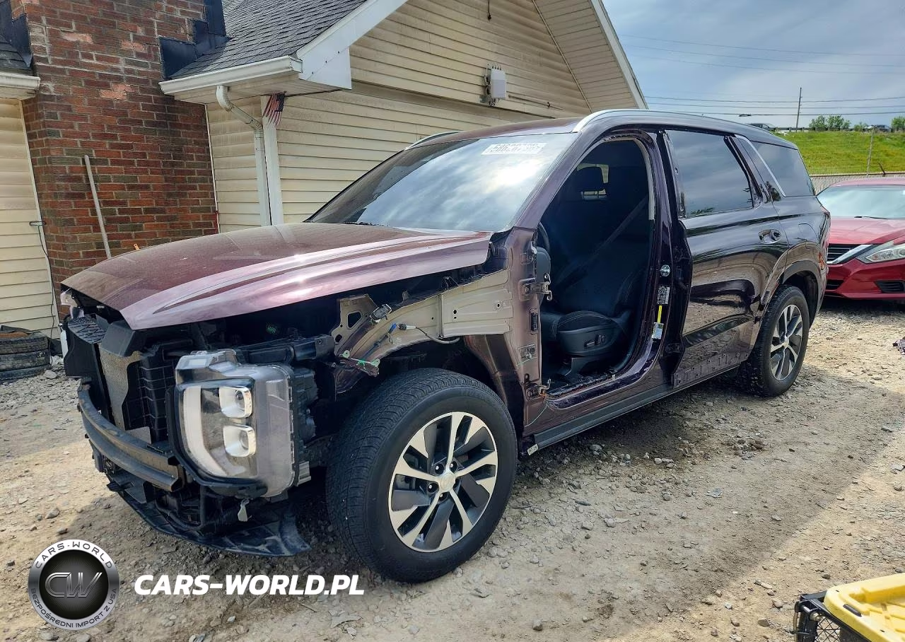 2020 Hyundai Palisade Sel – zdjęcie 1 z 14