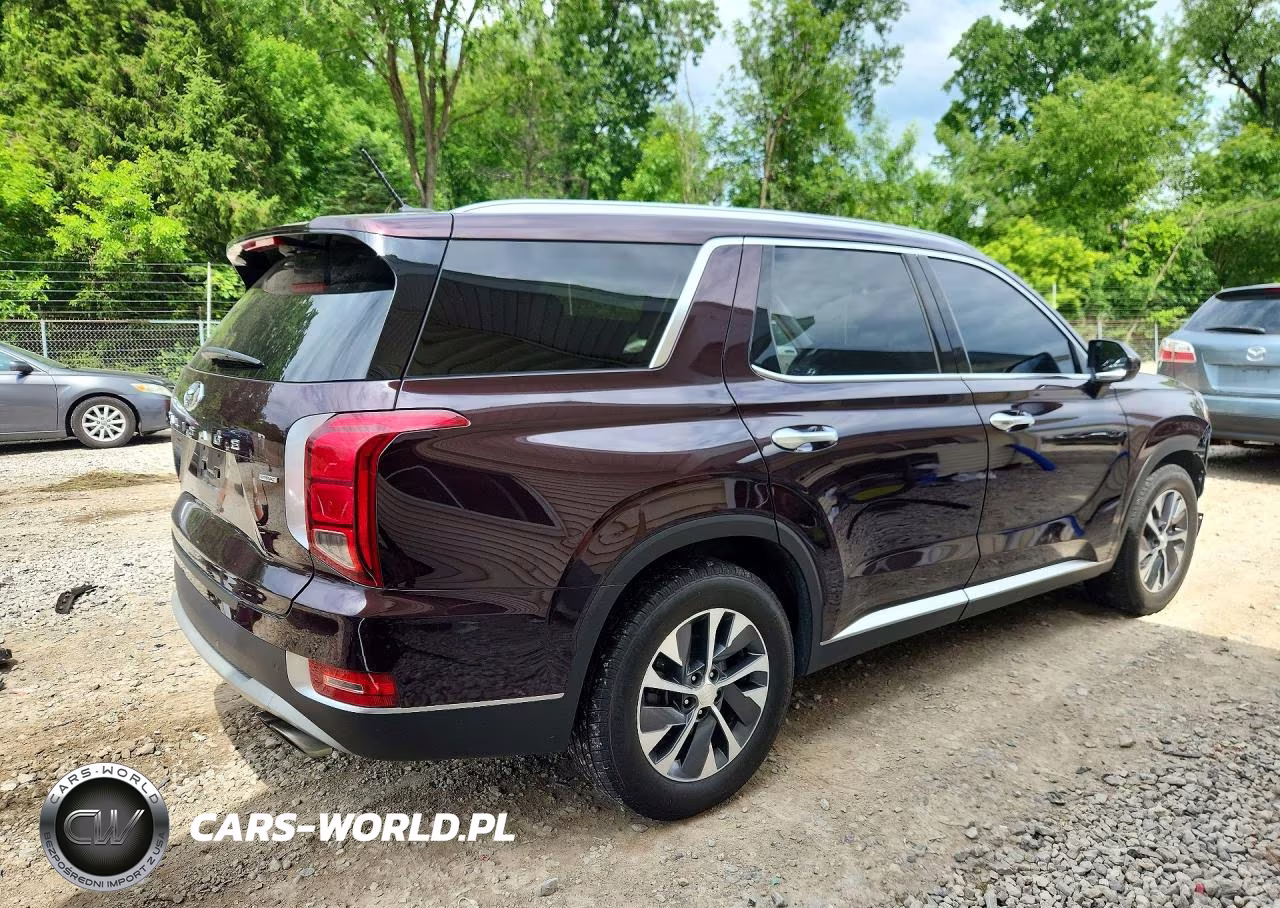 2020 Hyundai Palisade Sel VIN:KM8R2DHEXLU152286 - 3